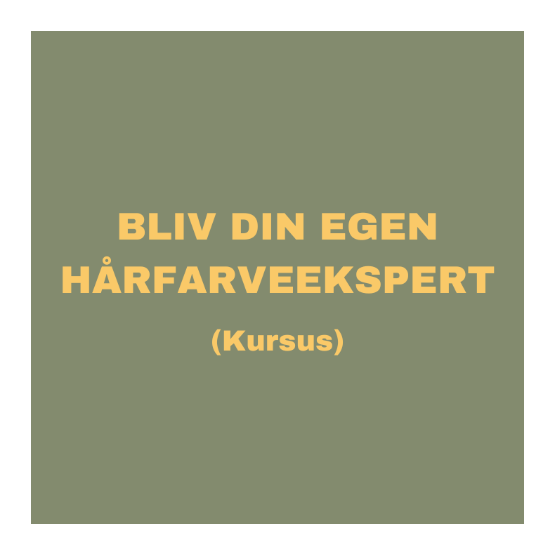 Kursus - Bliv din egen hrfarveekspert