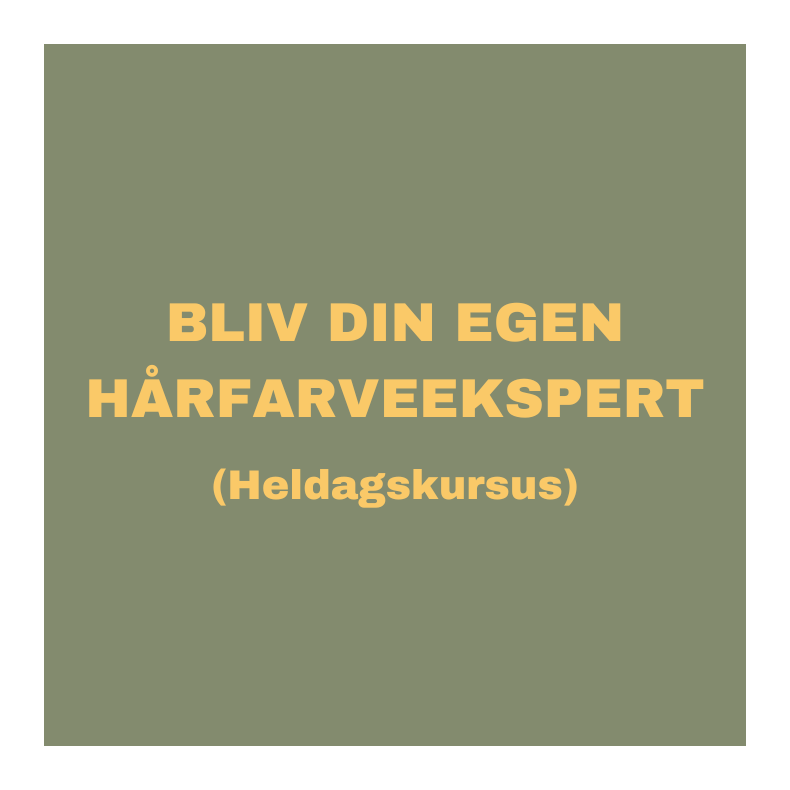 Kursus - Bliv din egen hrfarveekspert (heldags-kursus)