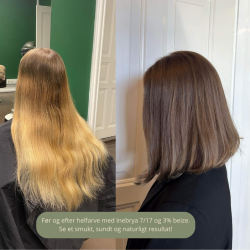 Inebrya Color Hrfarve - 7/17 (lys brun kold sand)